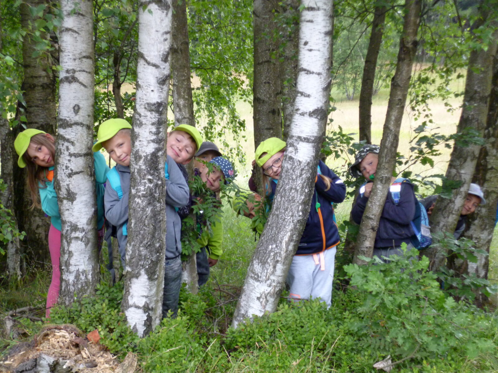 Co se líbilo nejmladším školákům v Lužických horách?
